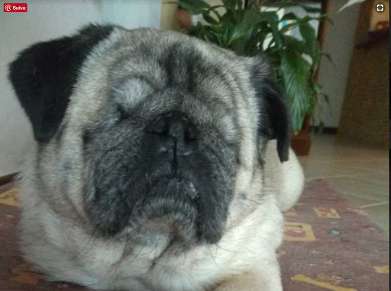 Lola e la sua storia